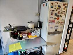 Blk 10 Haig View (Geylang), HDB 3 Rooms #434873921